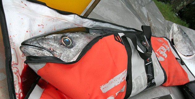 Tested: PrecisionPak fish storage bags - Fishing World